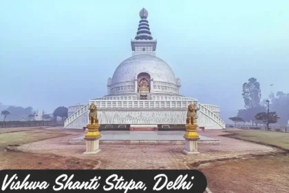 Day 6/100 in Delhi: Vishwa Shanti Stupa - Incredible Delhi, India